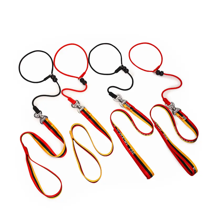 Minimalist Pet Leash Easy-to-Extend Design