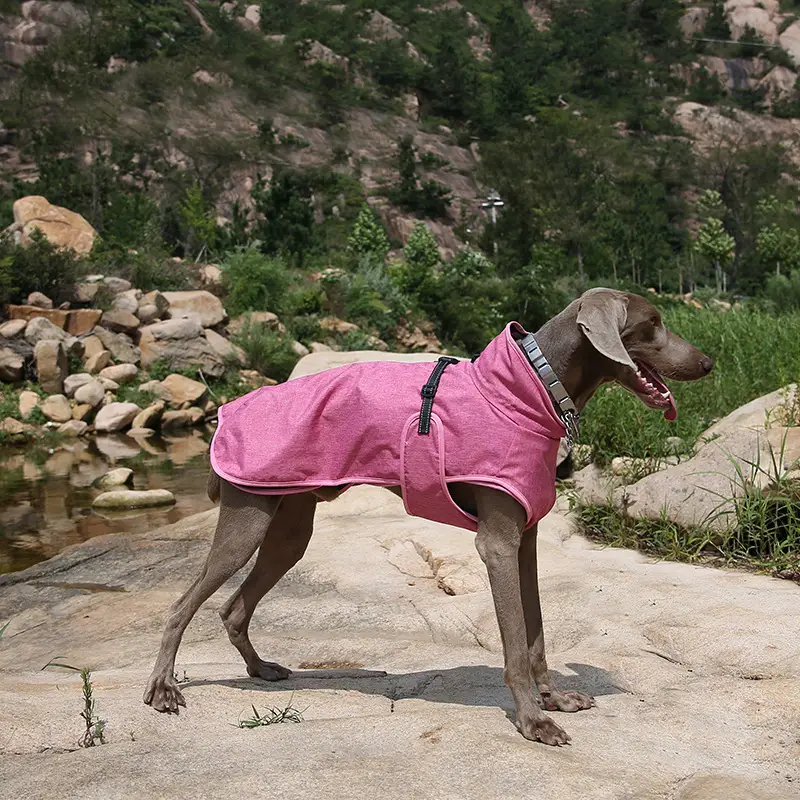 Pet Shell Jacket Dog Winter Outdoors Ski Suit