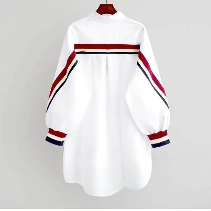 Loose-fitting Long-sleeve Blouse For Women