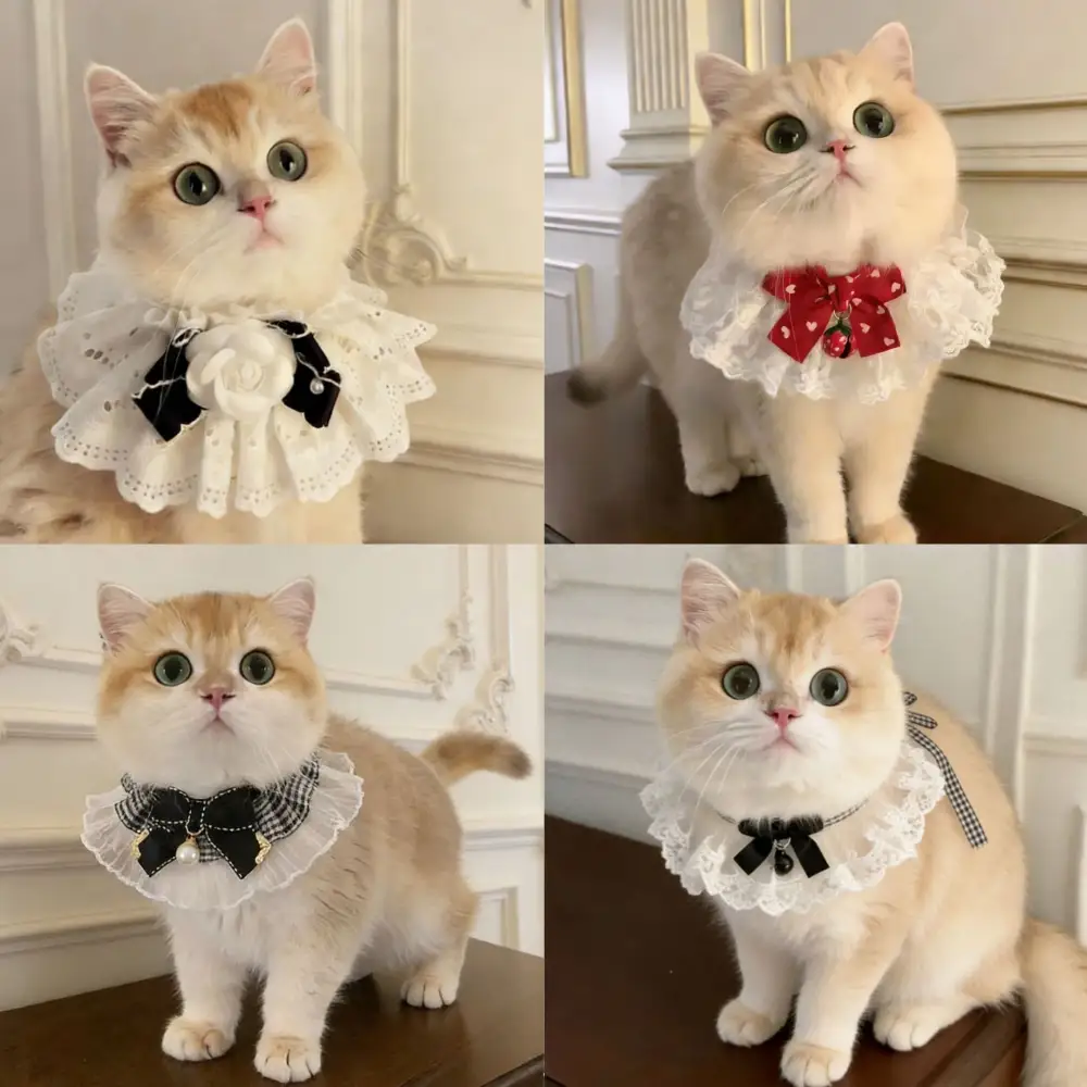 Cute Bow-Knot Fairy Cat Drool Bib
