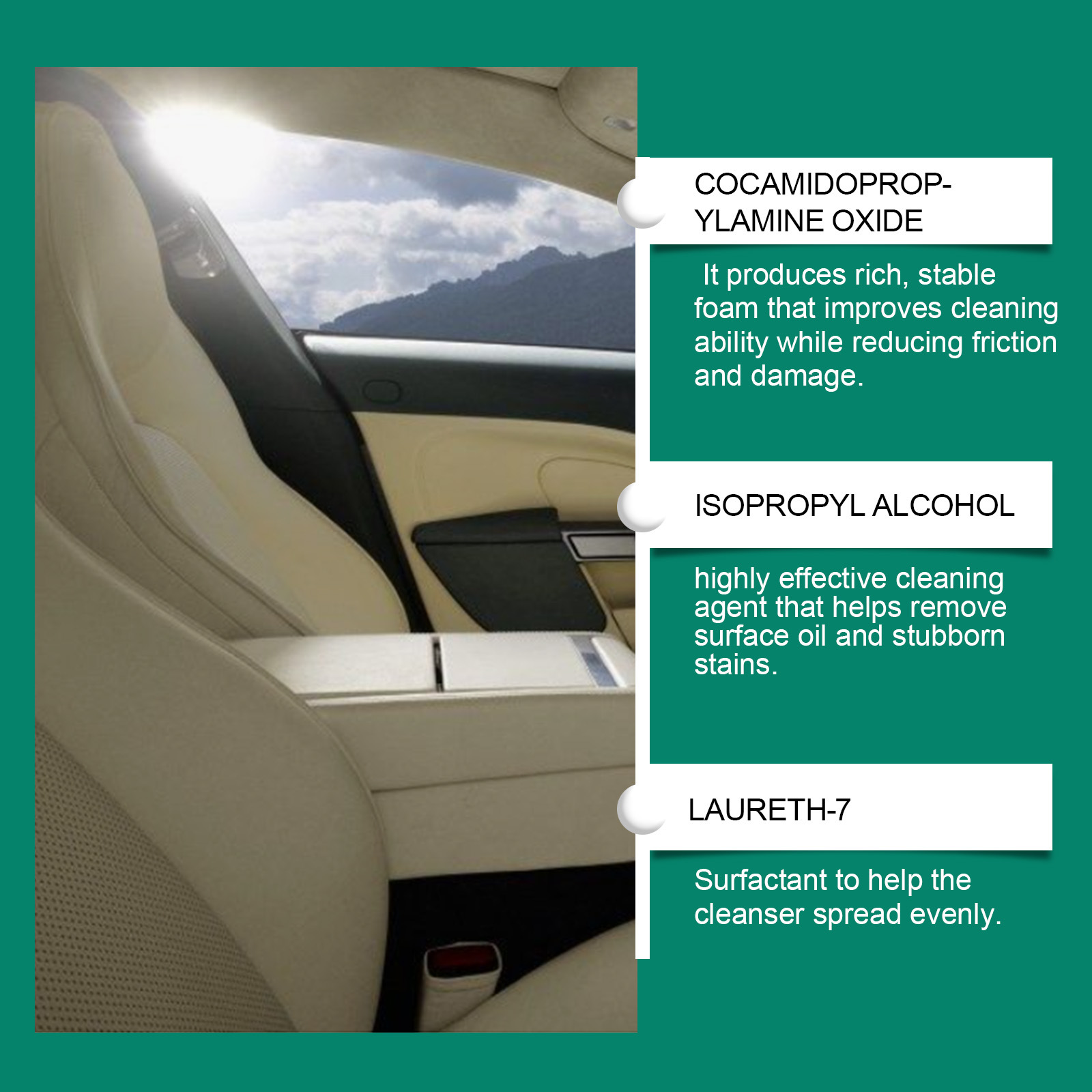 Car Interior Foamed Cleaner Cleaning