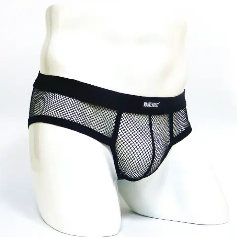 Men's Underwear Transparent Mesh Briefs Low Waist Convex Design