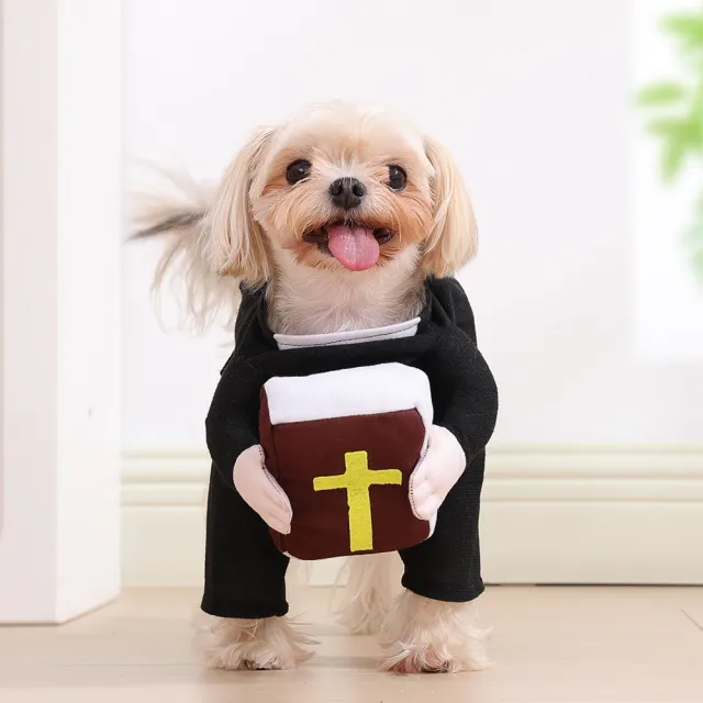 Cat Halloween Decoration Nun Cloak Dog 091 Bible - Shop at LoveMi