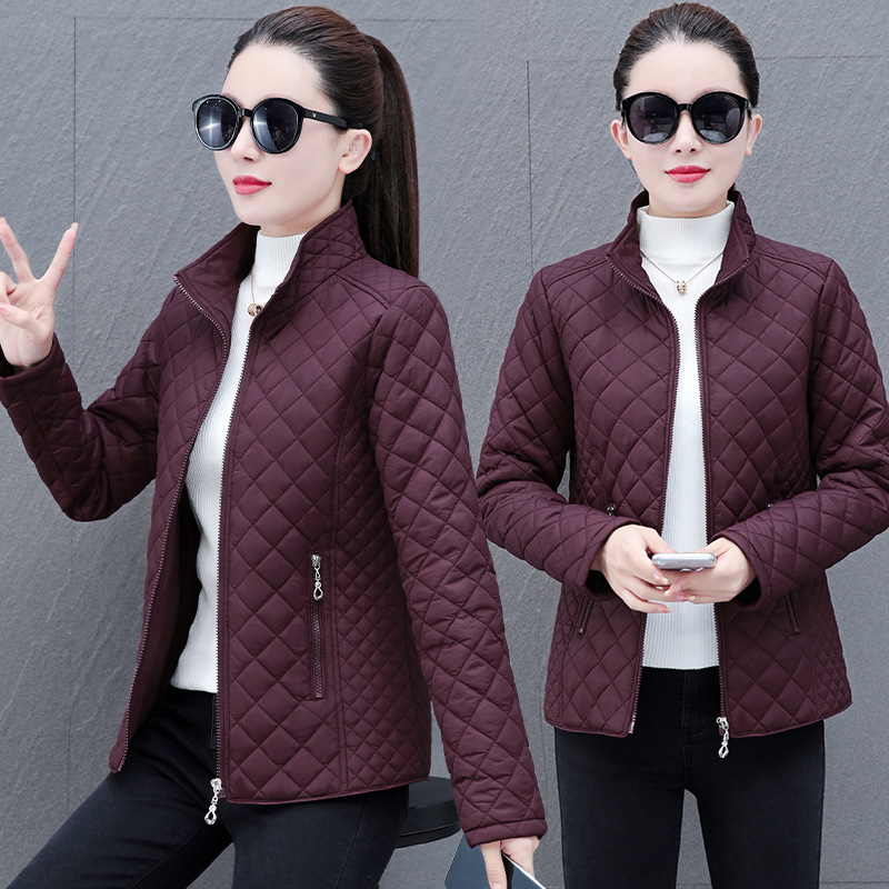 https://cf.cjdropshipping.com/quick/product/b47e1e2f-62b4-439e-8eb4-aa775f226d88.jpg