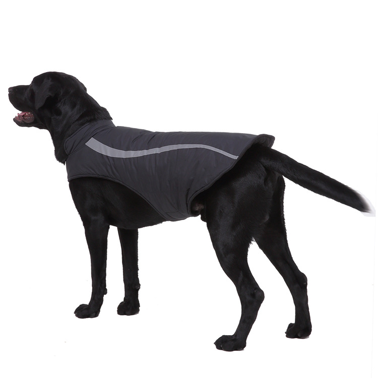 Dog Carrier With Pet-handling Handle And Auxiliary Leash detail photo 4