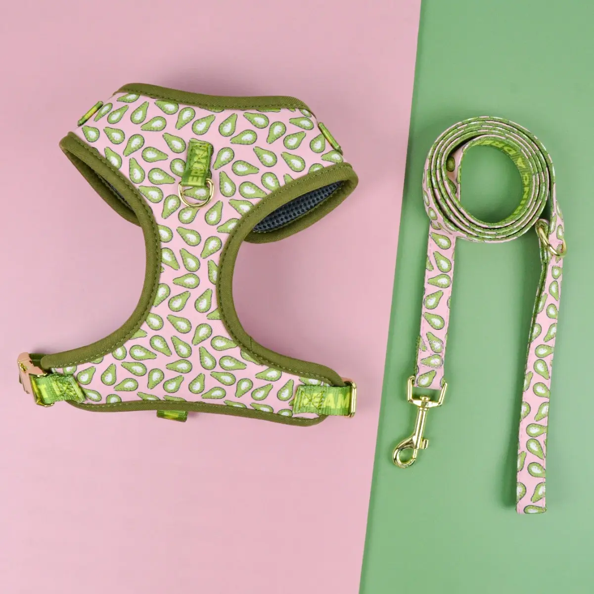 Summer Cute Pet's Chest-back Haulage Rope Package