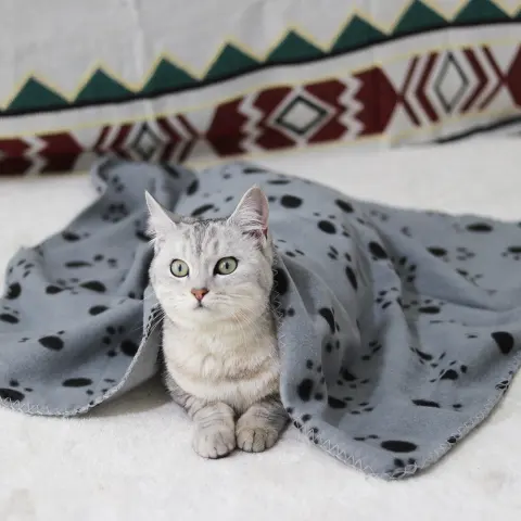 Dog Double-sided Fleece Blanket Warm Pet Cat Dog Paw
