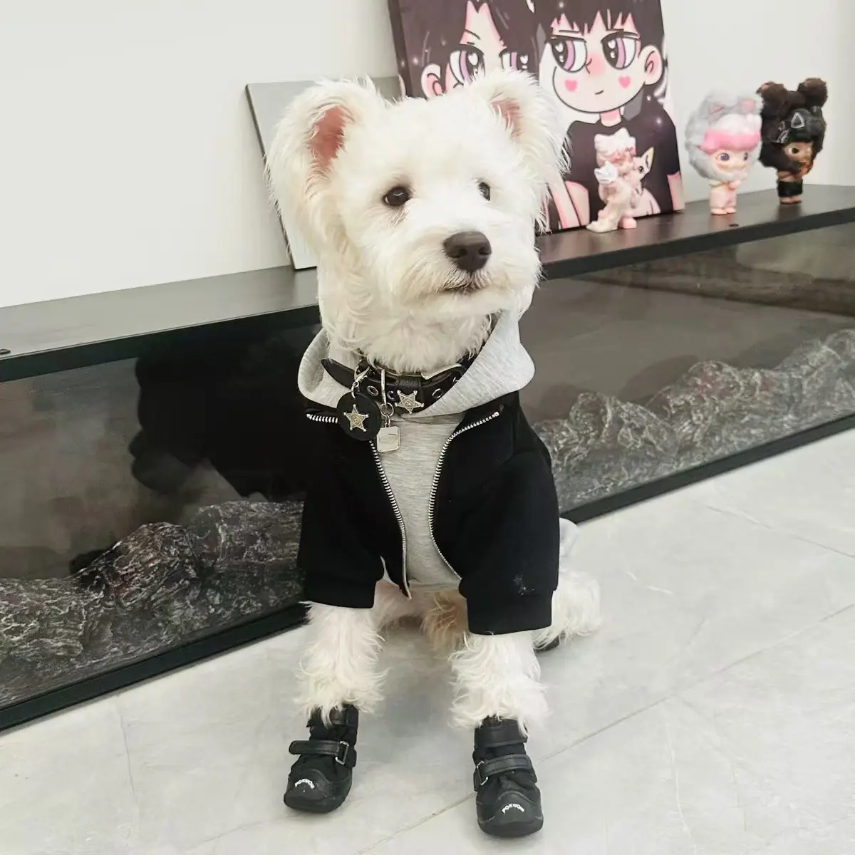 Dog Clothes Fake Two-Piece AutumnWinter Warmth Schnauzer