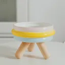Rainbow Color Food Bowl