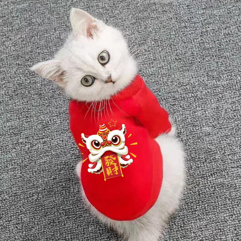 https://cf.cjdropshipping.com/quick/product/b5dd82c8-0515-4493-be39-86954fdfa3ee.jpg