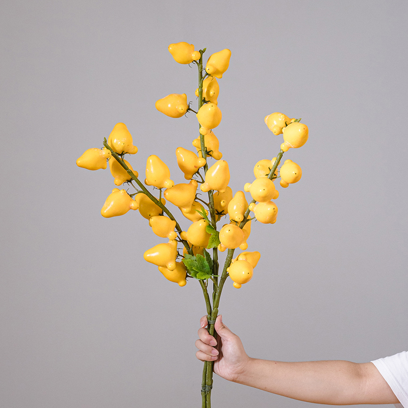 Fruit Branch Floral Decoration, picture 3 of 5