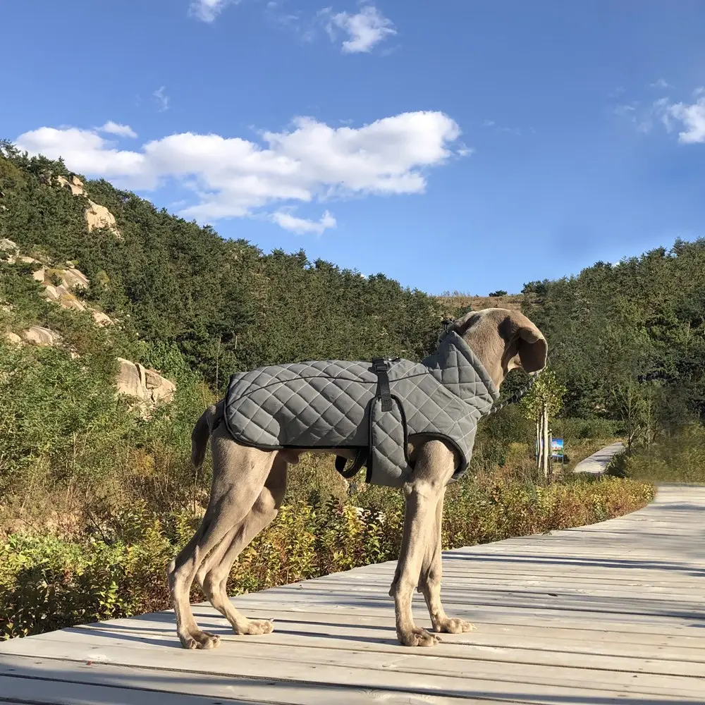 Pet Clothing Full-body Reflective Tactical Jacket