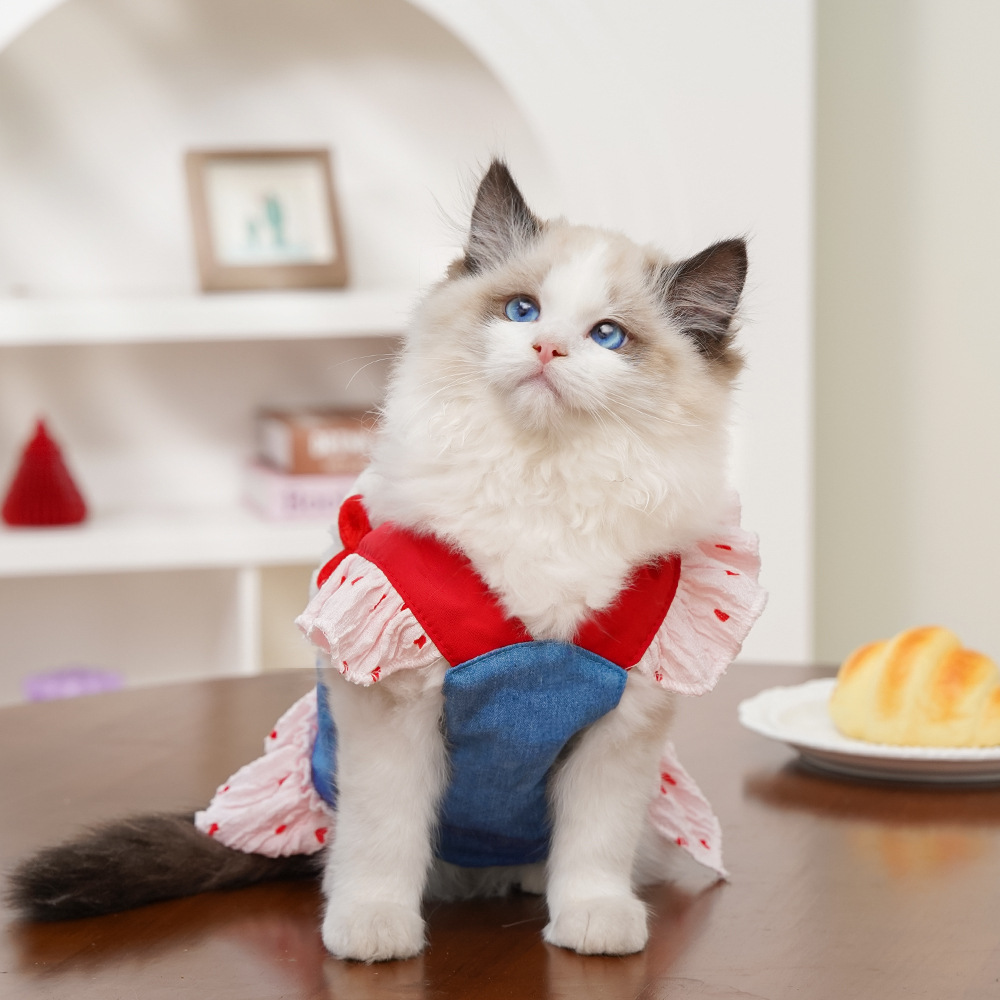 Harness Pet Dog And Cat Clothing detail photo 11