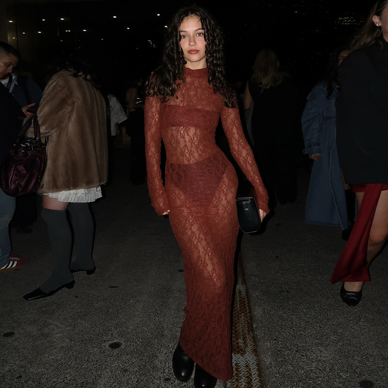 Women's Turtleneck Lace Long Sleeve Dress
