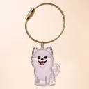 Puppy Pomeranian