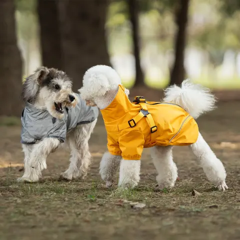 Chest and Back Raincoat Two Legs Waterproof Teddy Medium