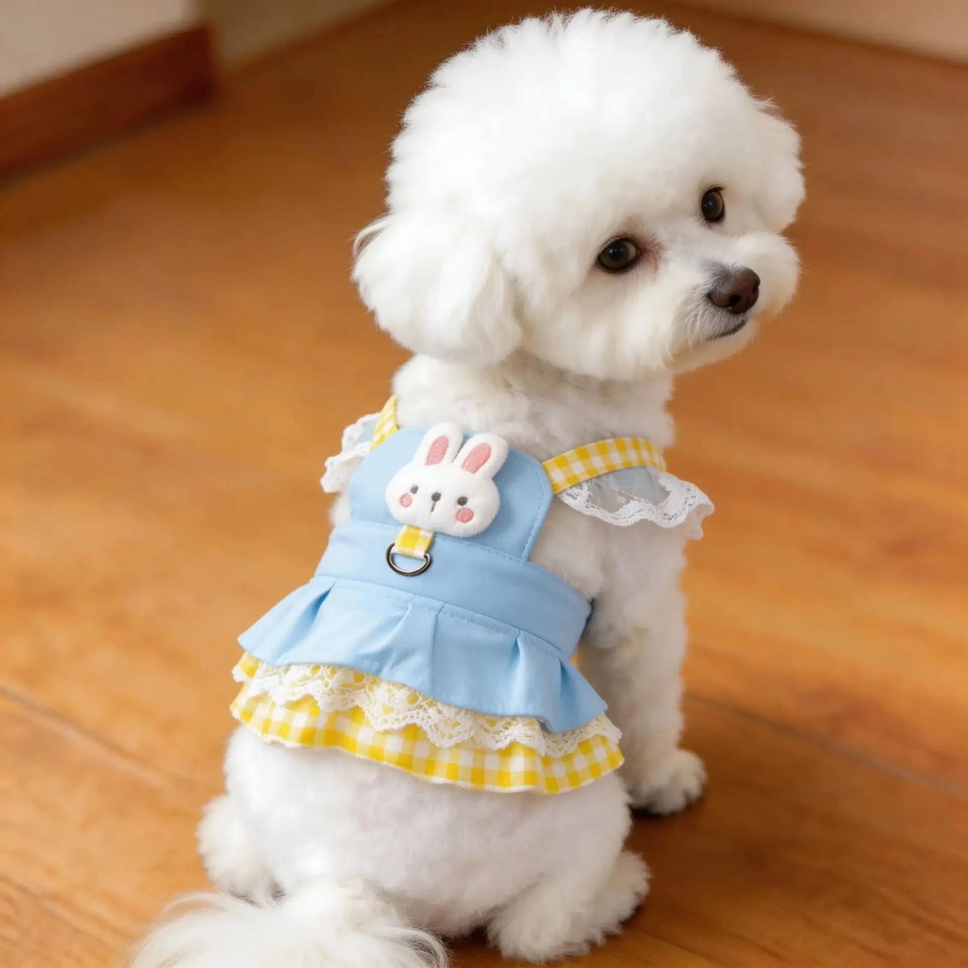 Pet Clothing With Leash Attachment Cute