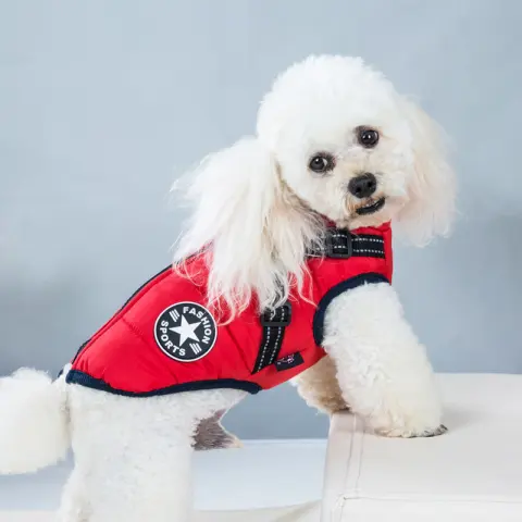 Pet Clothes Waterproof and Warm