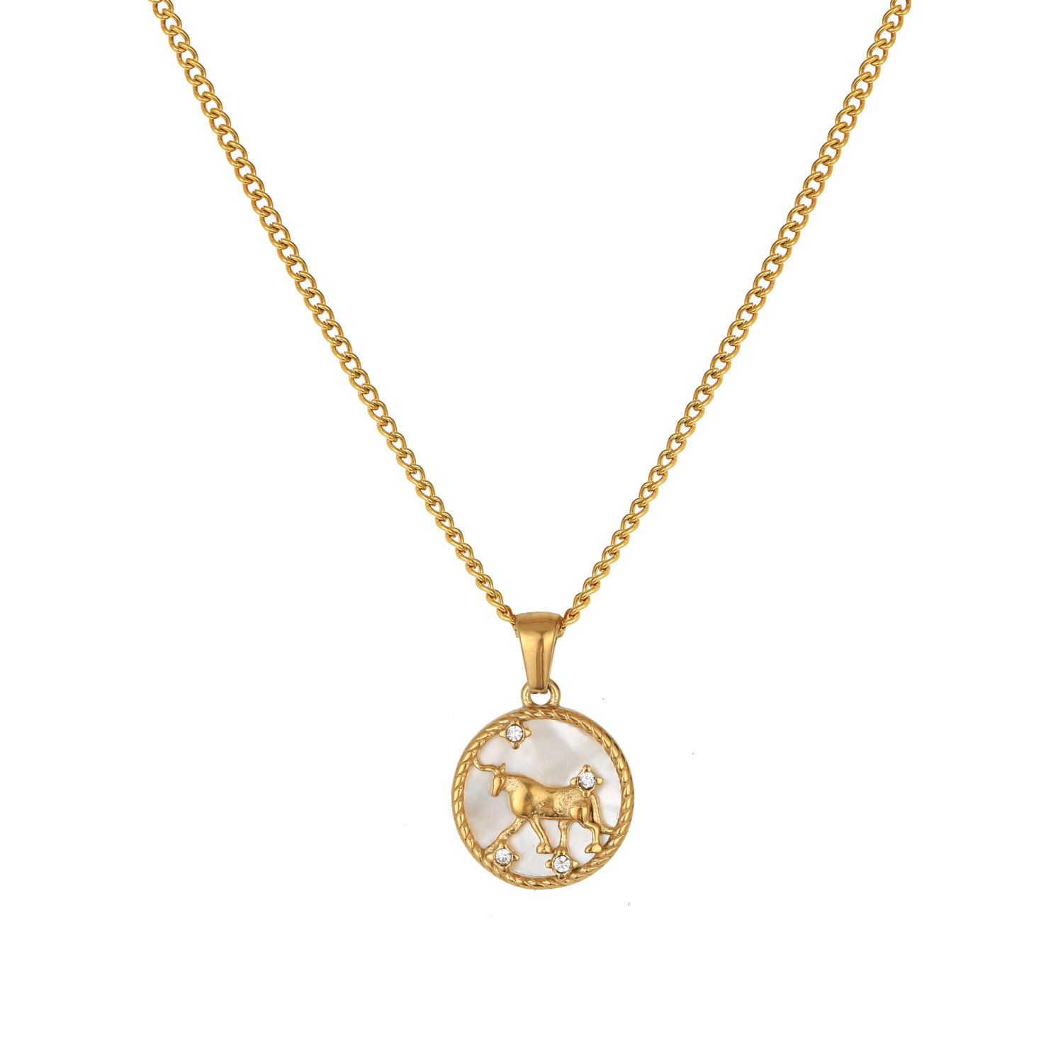 Stainless Steel European And American 12 Constellation Shell