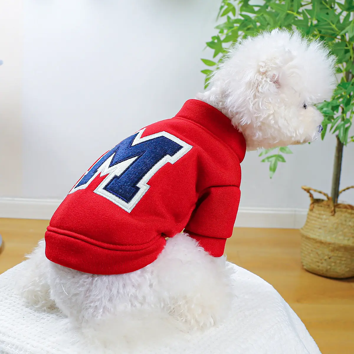 Factory Direct Supply Pet Clothes Teddy Bichon