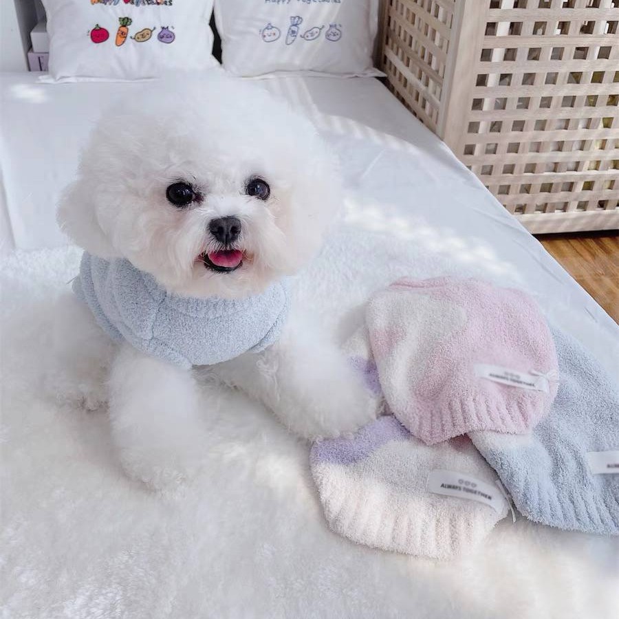 Ropa para mascotas: el estilo «half-velvet», famoso en Internet