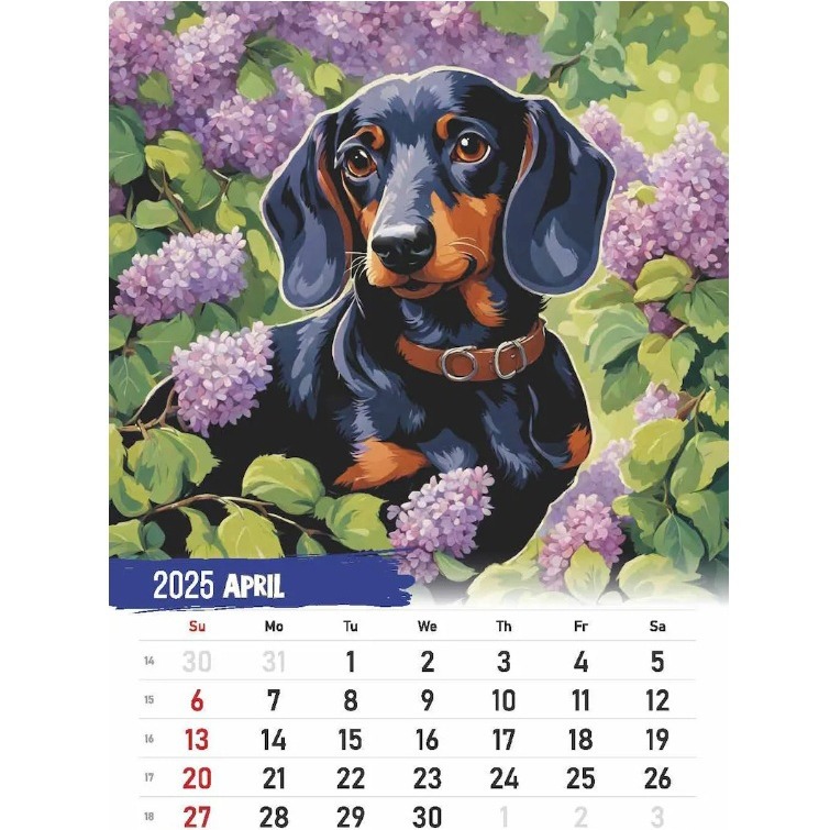 Title 3, Creative Home 2025 New Sausage Dog Calendar