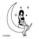 Cc6393