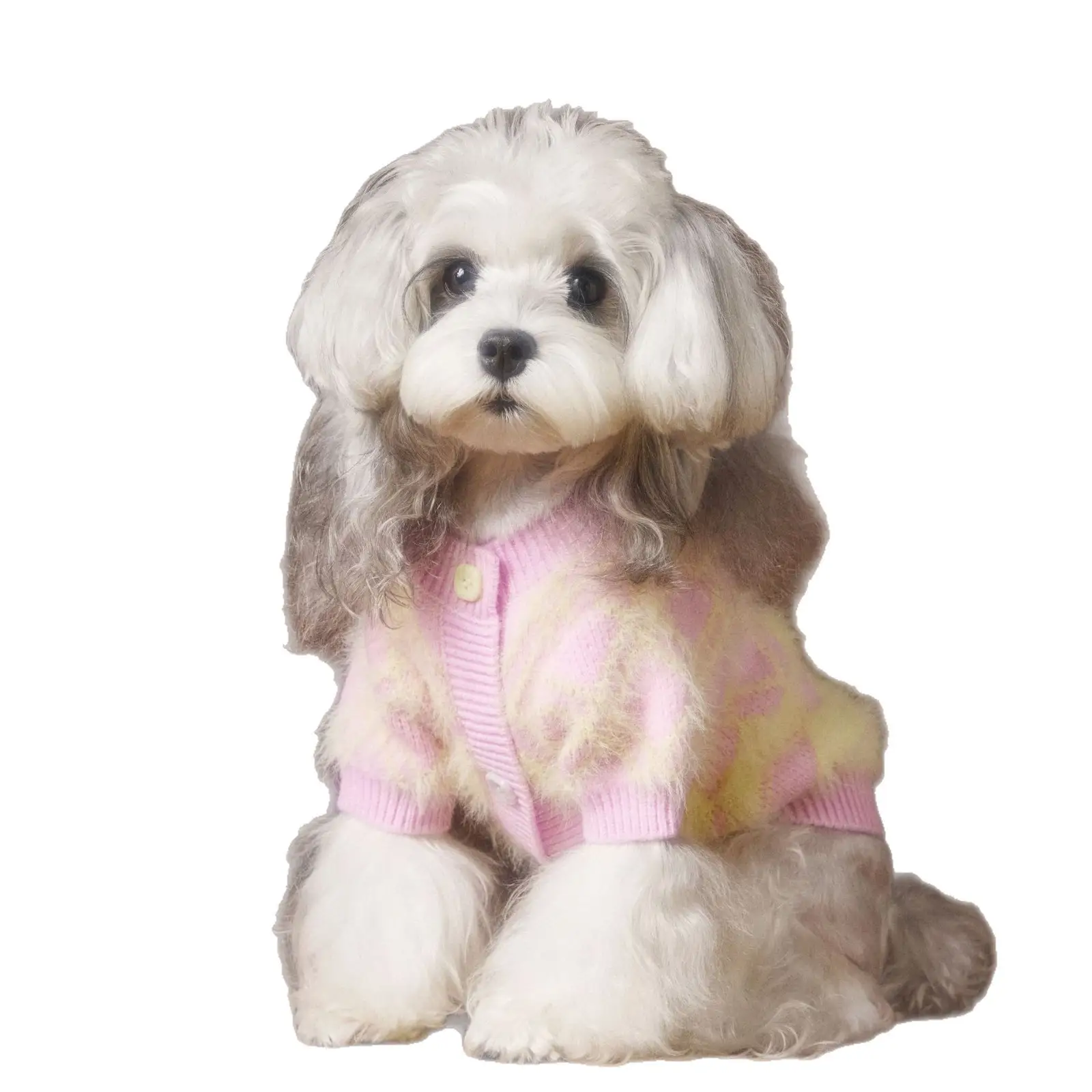 Schnauzer Teddy Bichon Cute Cardigan Sweater