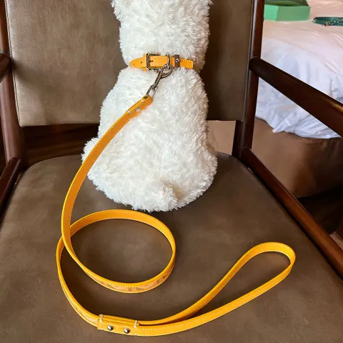 Leather Dog Collar for Pets