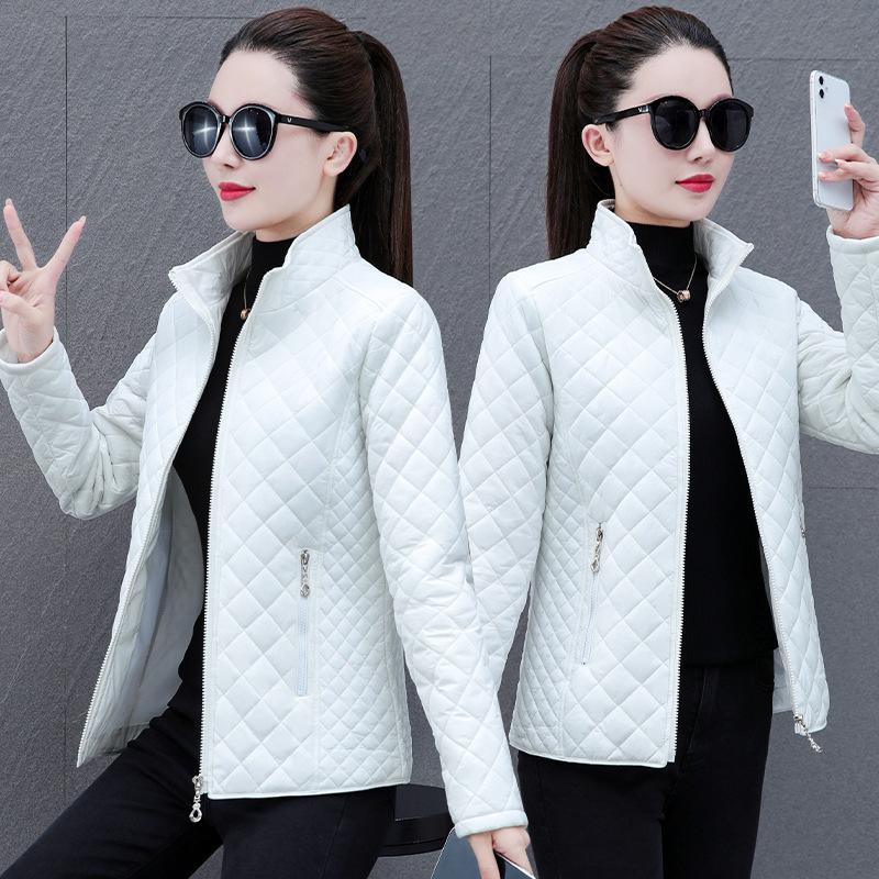 https://cf.cjdropshipping.com/quick/product/b8dd3b18-19b8-4e88-9aa2-fcc71ed29118.jpg
