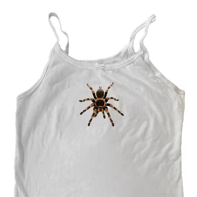 https://cf.cjdropshipping.com/quick/product/b9fda367-8c6e-40af-9838-ed5d219de330.jpg