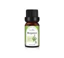 Bergamot Essential Oil
