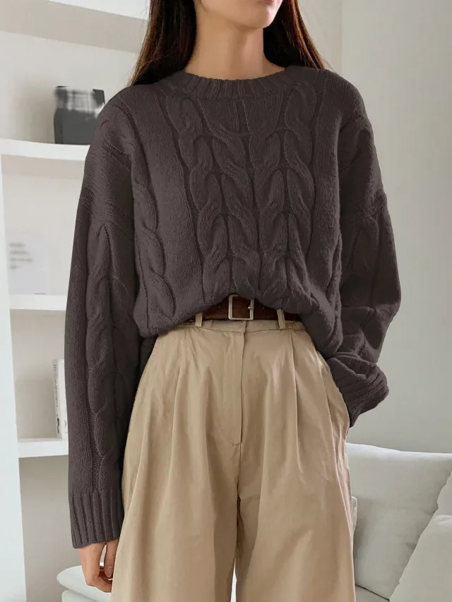 Round Neck Pure Color All matching Trendy Sweater Top Brown - Shop at LoveMi