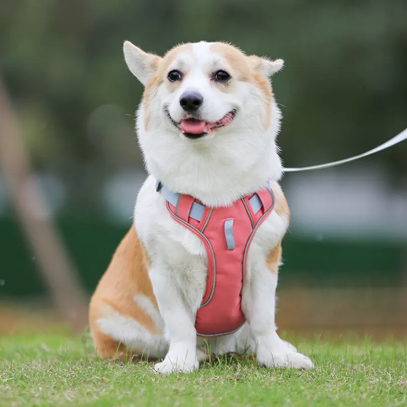 Large Anti Slip Pet Chest Harness