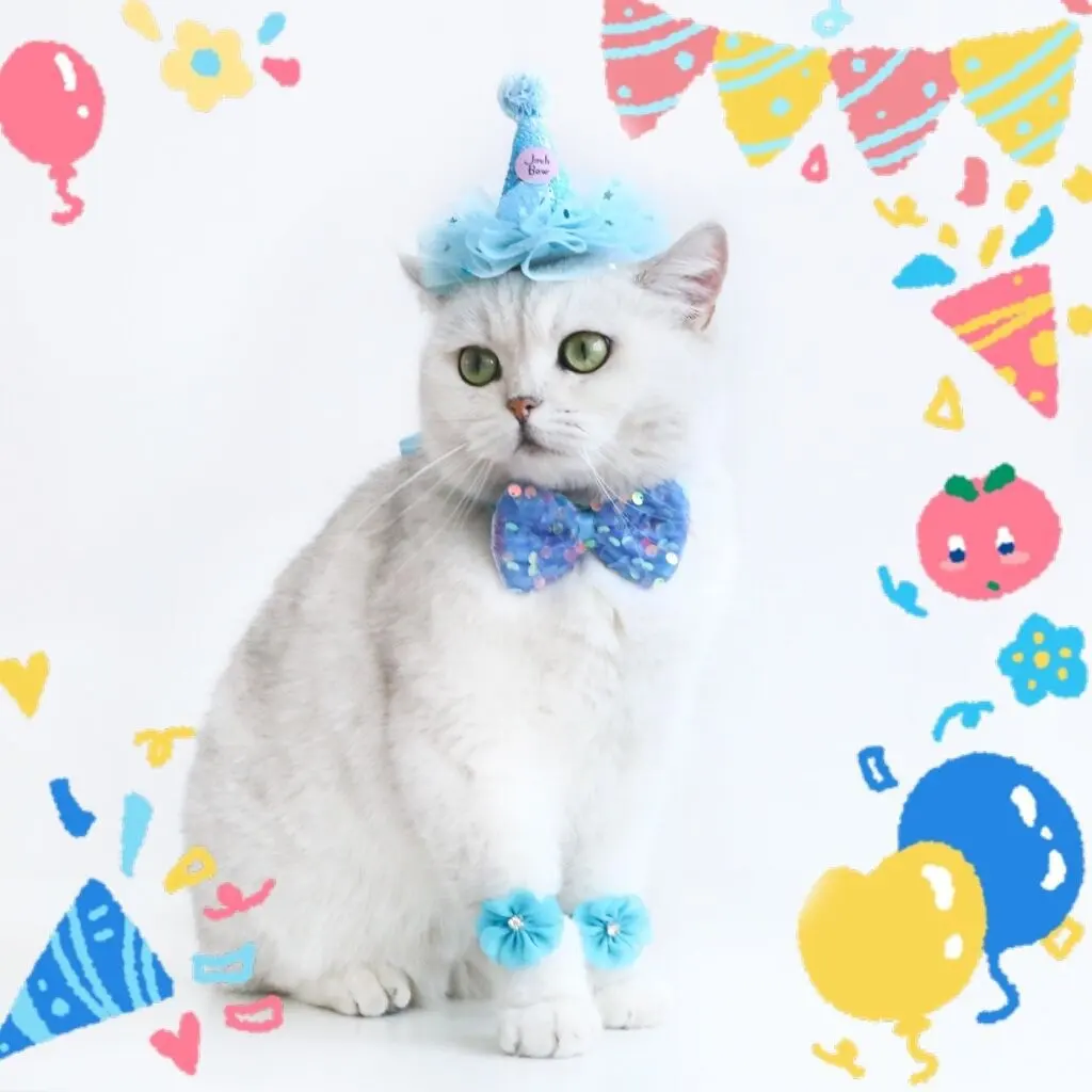 Cat Birthday Hat Bow Tie Flower Party
