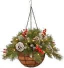 Hanging Basket 1