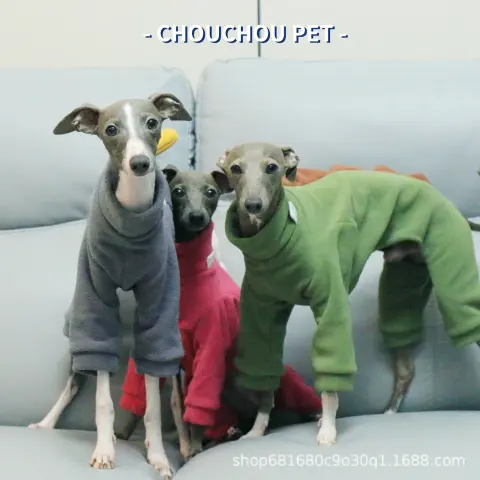 Winter Thickened Fleece Dinosaur Pet Jumpsuit