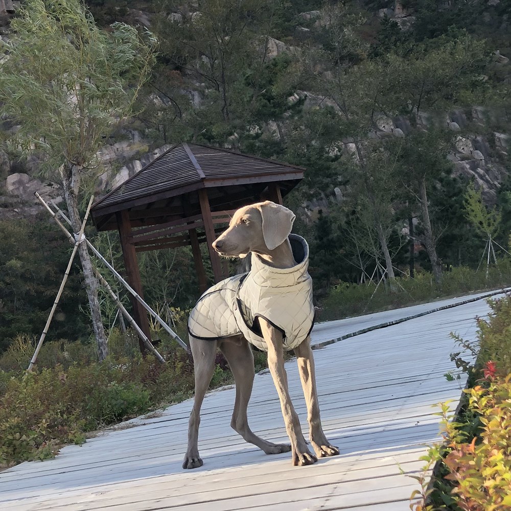 Pet Clothing Full-body Reflective Tactical Jacket For Dogs