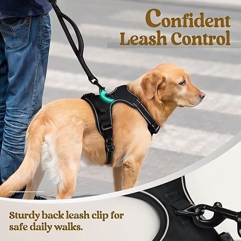 Multi-layer All-in-one Pet Dog Harness and Leash Set - Durable Nylon Walking Rope for Small Medium Large Dogs Outdoor Training 4