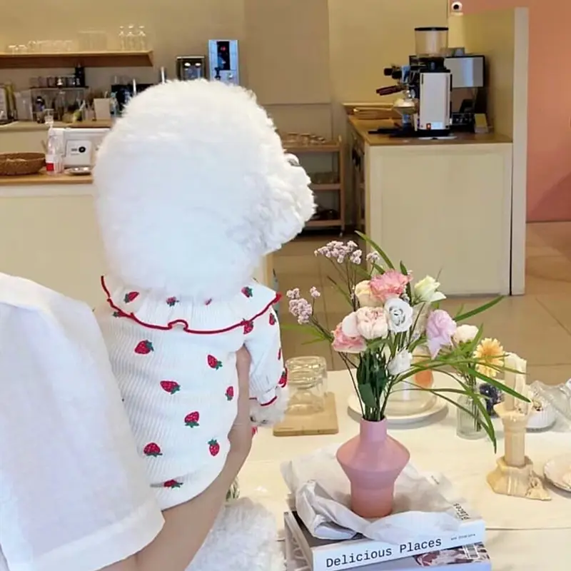 Summer Thin Lace Strawberry Pet Cat Dog Clothes