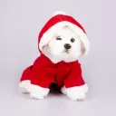 Christmas Style