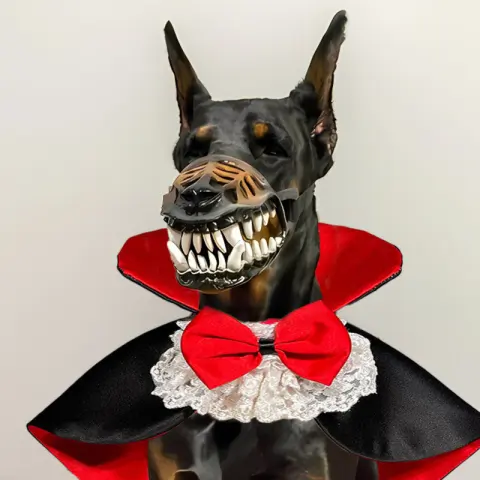 Halloween Pet Clothes Cat Puppy Costume TeddyFrench