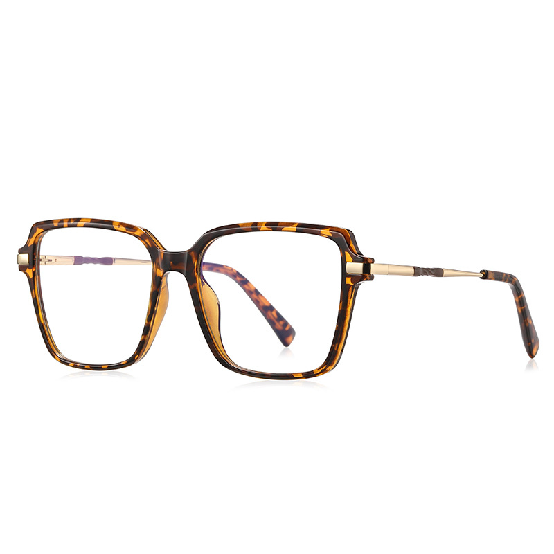 C3 Hawksbill Frame