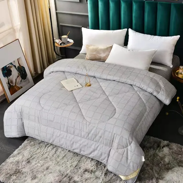 Summer Blanket Thickened Silk Floss Winter Duvet Insert Printing Series Gray - Shop at LoveMi