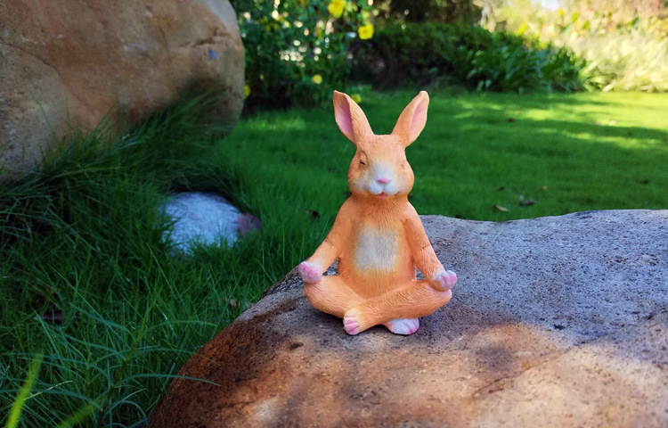 Title 6, Creative Meditation Bunny Garden Courtyard Deco...