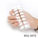 Bsg 0070