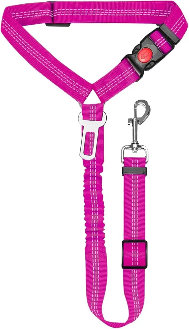 Nylon Tow Rope Metal Buckle Rose Red - Shop at LoveMi
