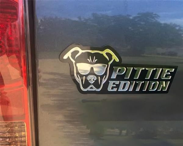 Dog Car Badge O