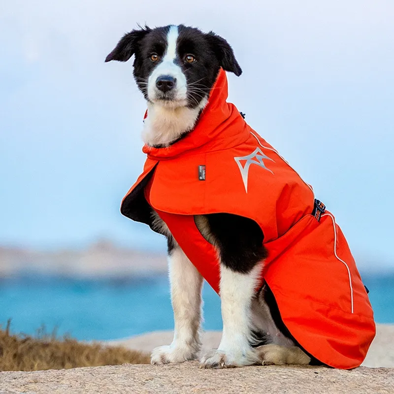 Pet Dog Cotton-padded Clothes Autumn And Winter