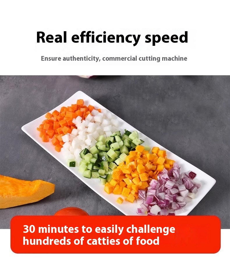 Commercial Vegetable Cutter Multi-function Automatic Dicing Slice - Image 10